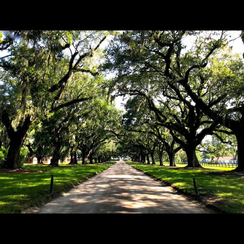 Meet your Posher, Jaime